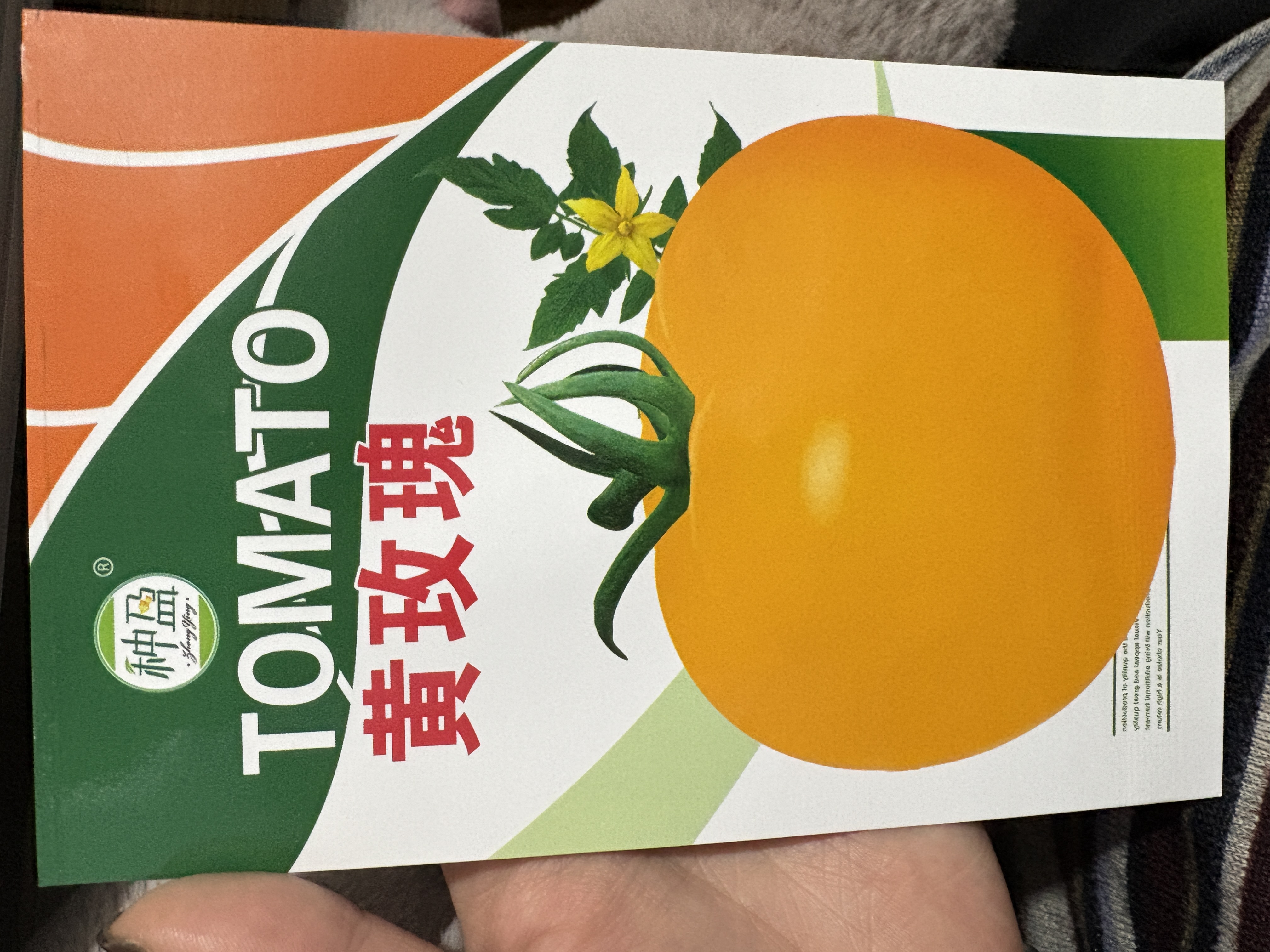 种盈黄玫瑰柿子种子