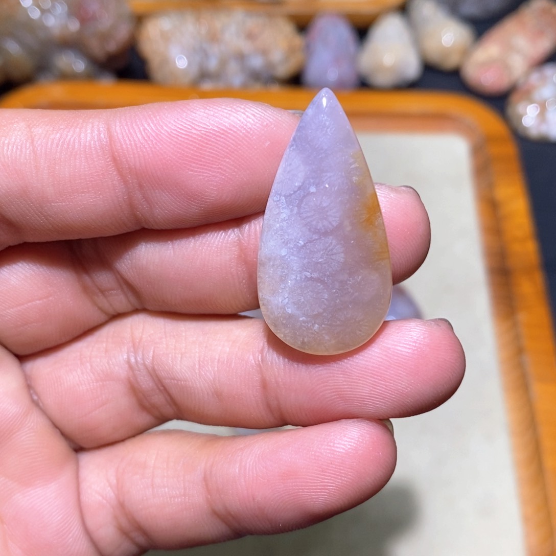 【闪购商品】硅化玉颈饰未镶嵌