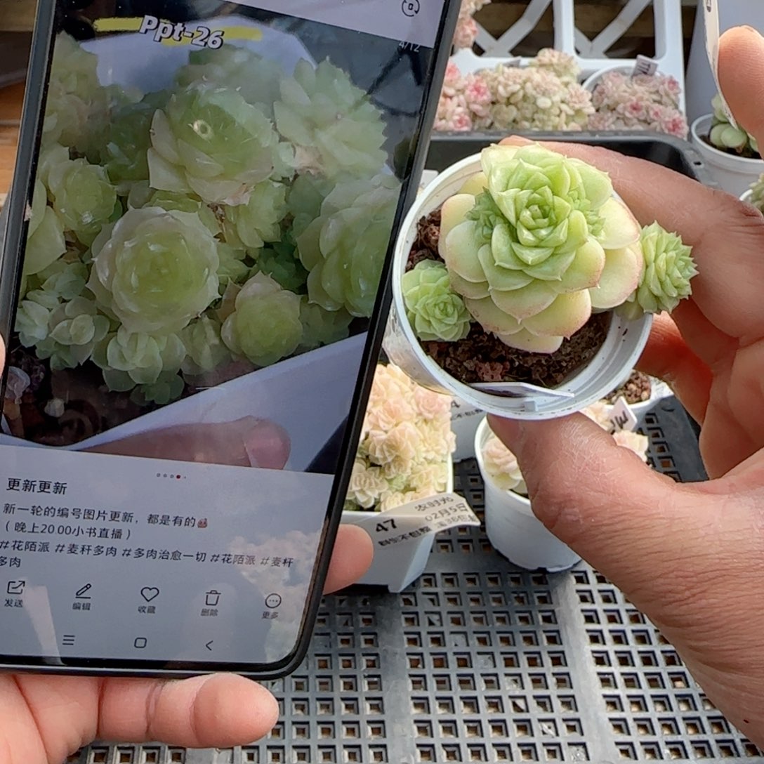雨**曦【闪购商品】0205-49（ppt-26）