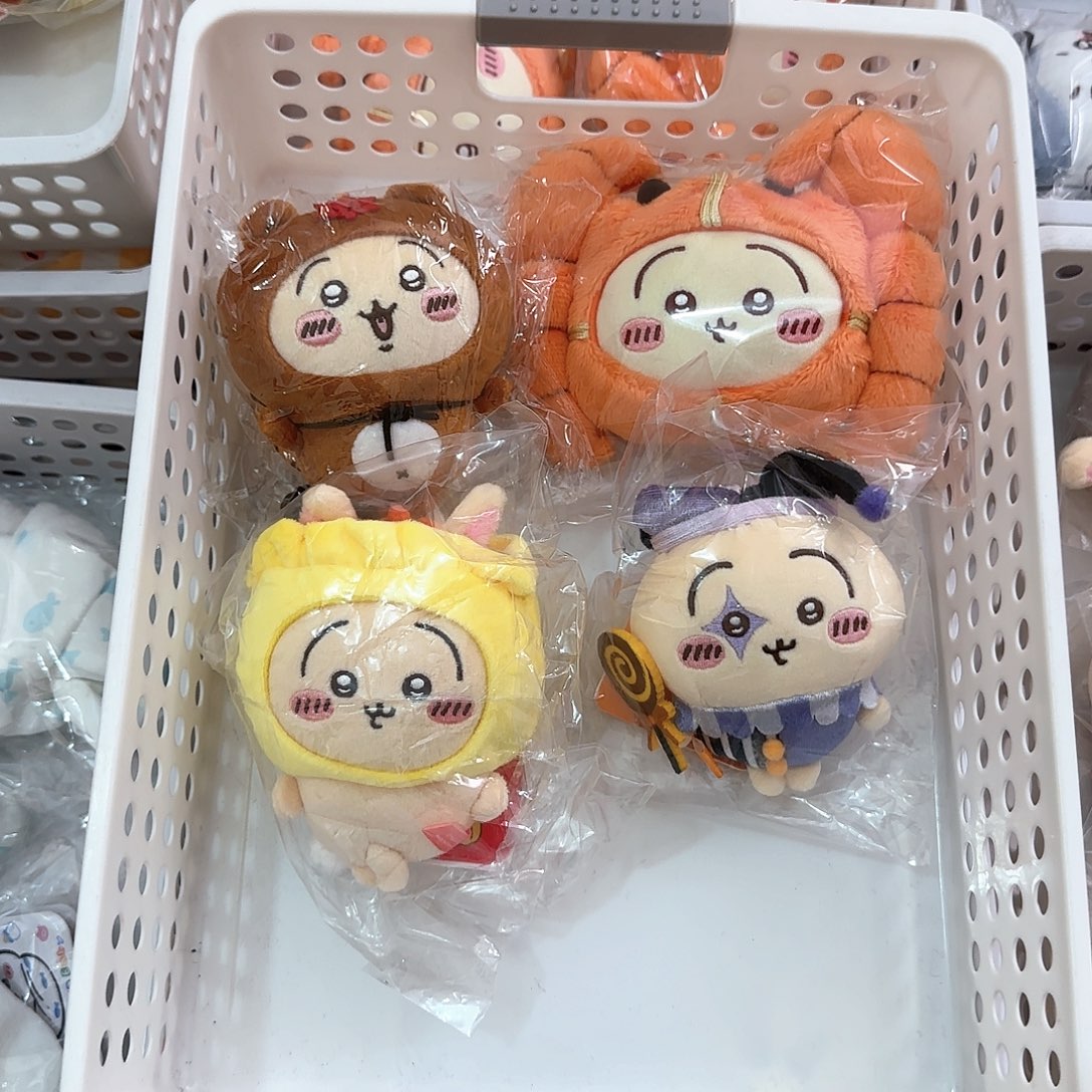 毛绒已挑好4只乌萨奇