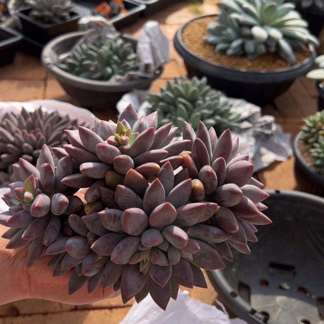 12211111111111111111111