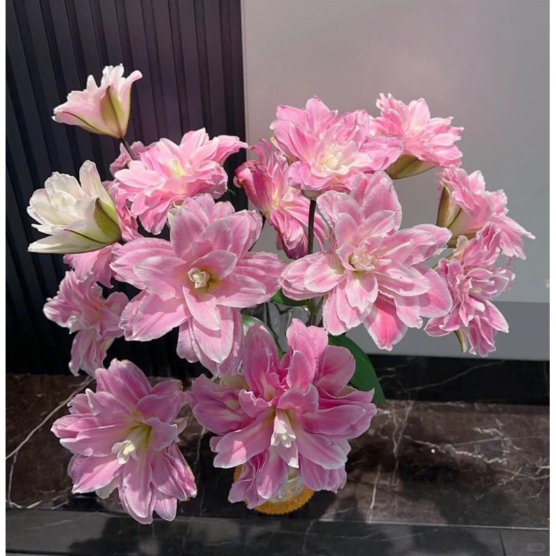 婵之语花咖莲花之境3头重瓣百合 鲜切花