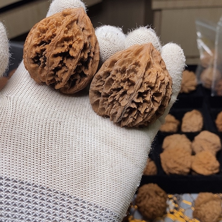 文玩核桃把件萨****熊秦岭野生壮光冠