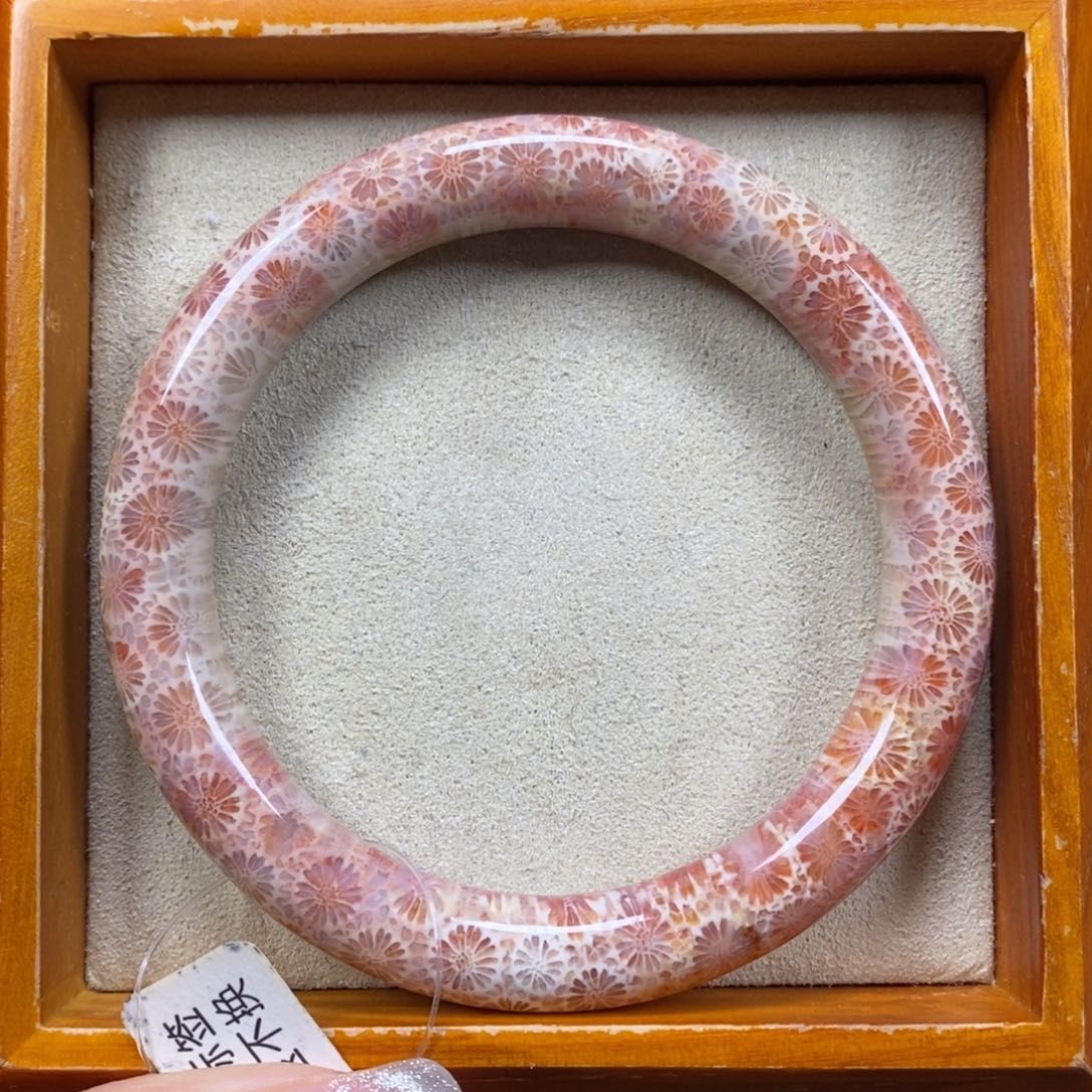 硅化珊瑚（珊瑚玉）未镶嵌手镯圈口57.4