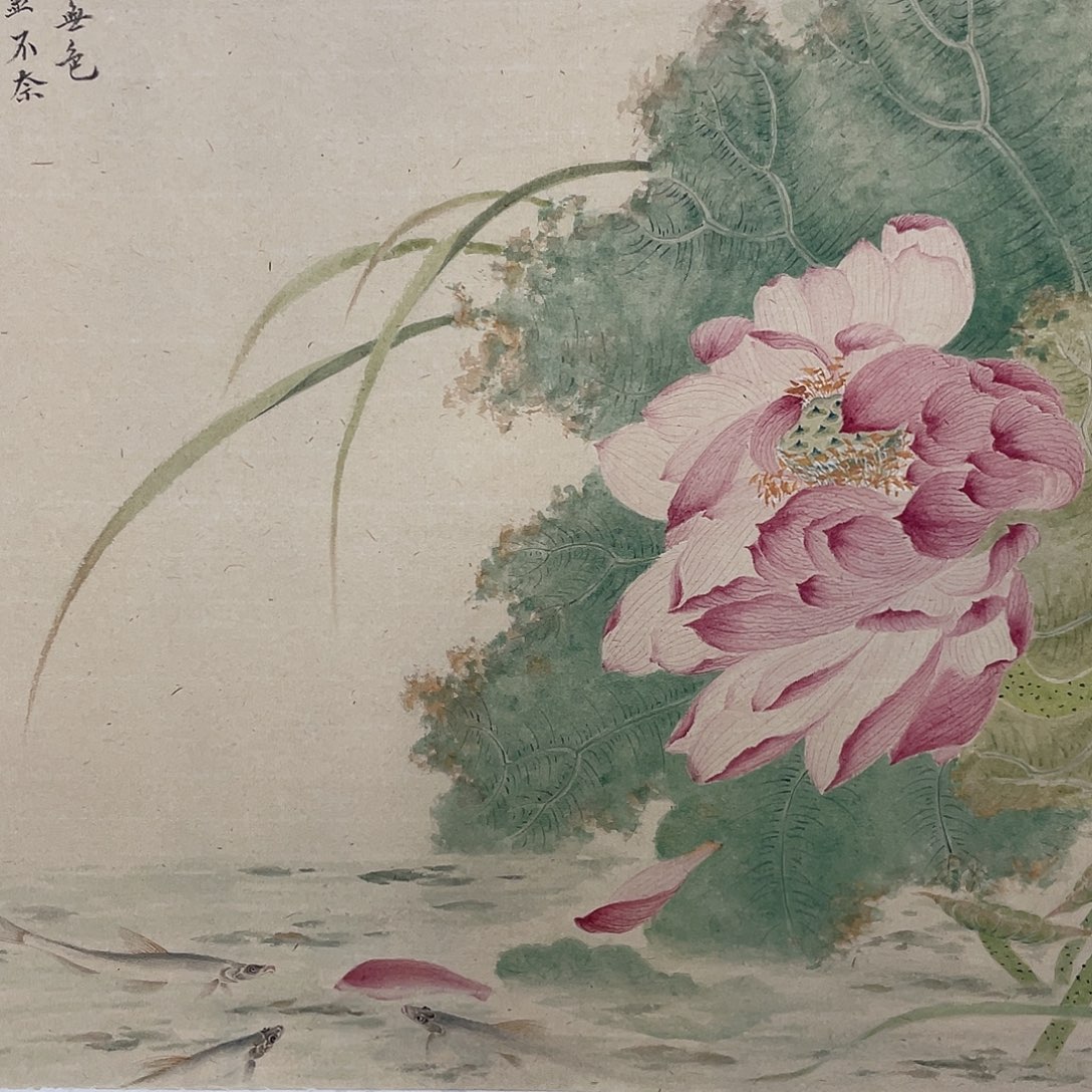 黑***长国画刘常青工笔荷花