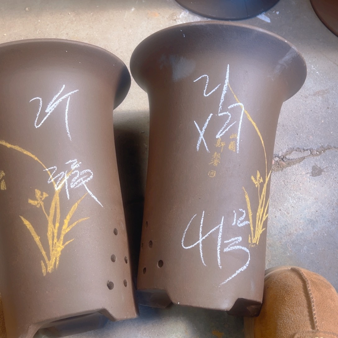 紫砂41……………………………………