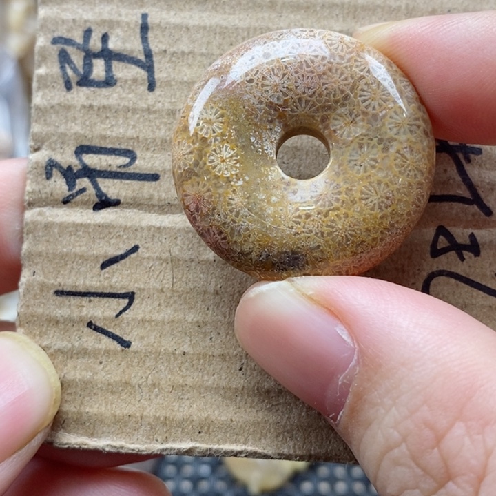 硅化珊瑚（珊瑚玉）颈饰未镶嵌