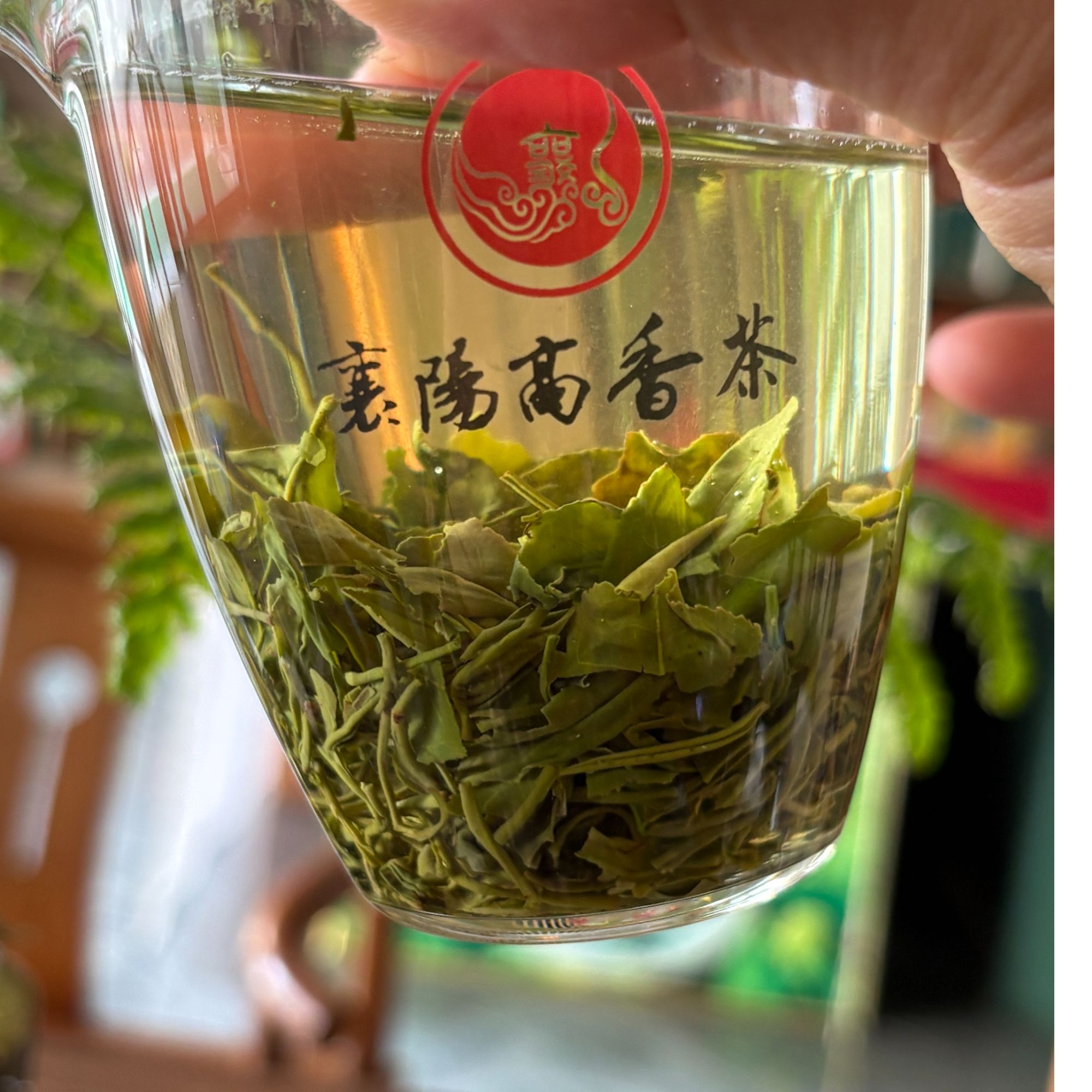 襄阳高香茶湖北特产绿茶谷城盛康回龙观炒青大把抓2025大口劲新茶