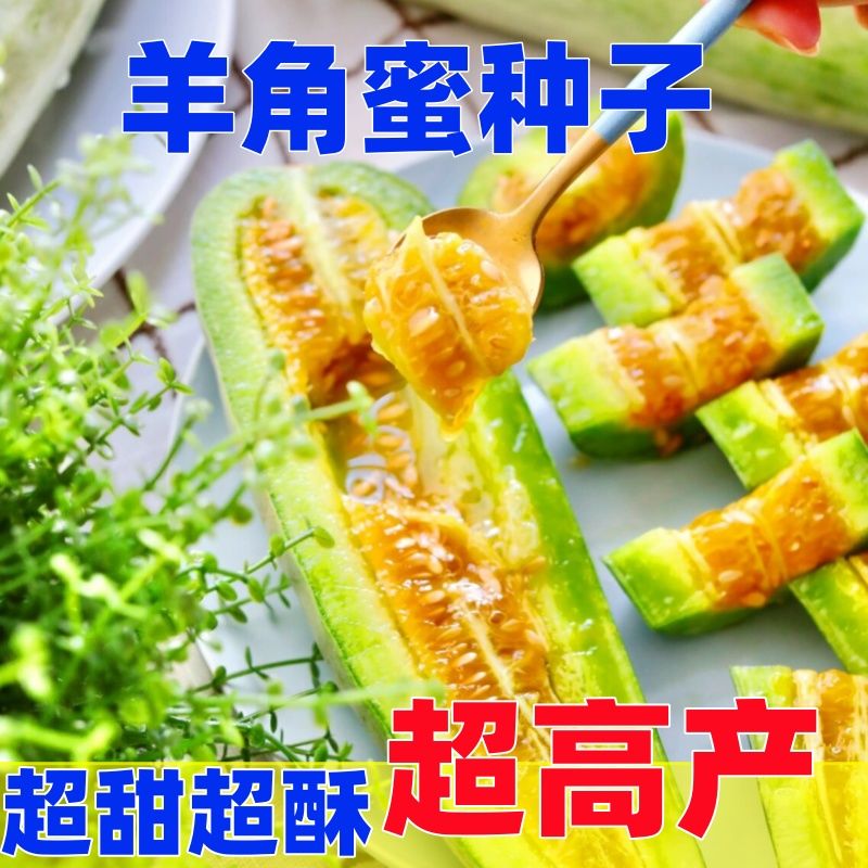 甜脆羊角蜜种子羊角酥甜瓜种籽