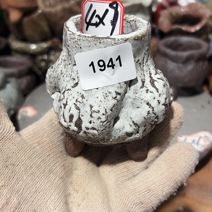 粗陶花盆，现在都不一样