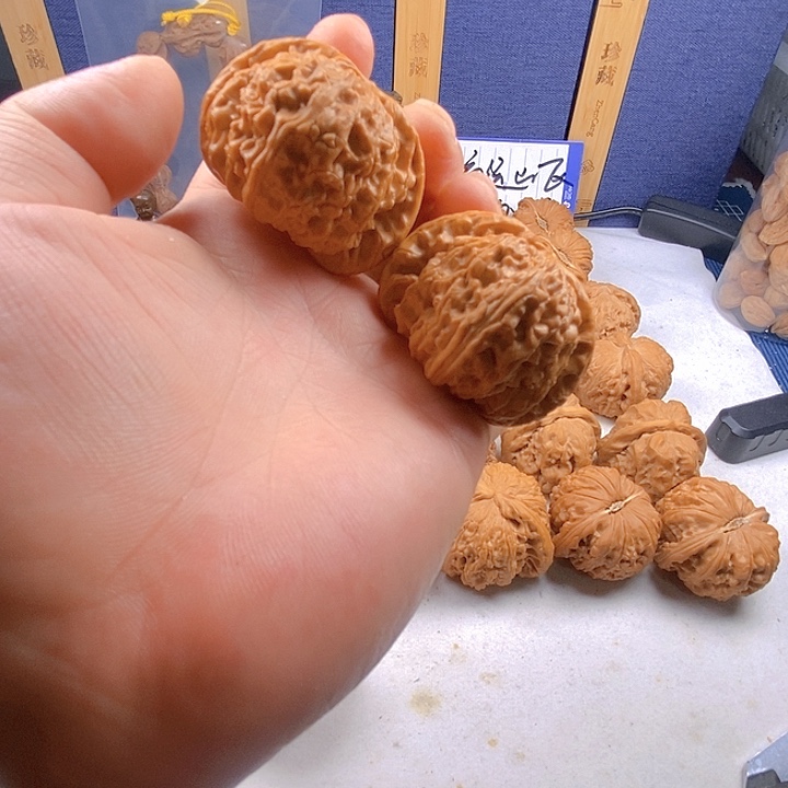 47白狮子闷白111