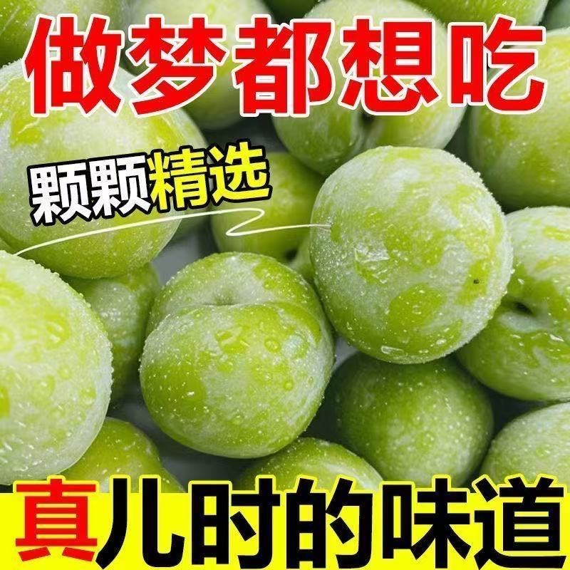 正宗脱骨李子脱骨青脆李农家土李子新鲜应季水果孕妇脆整箱