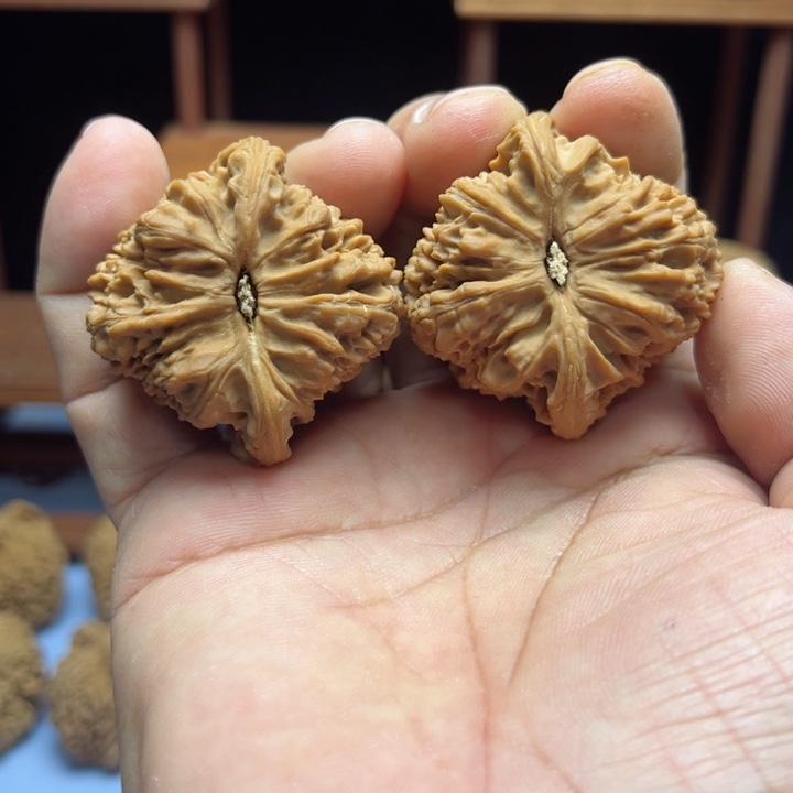 完全开放？*南疆石