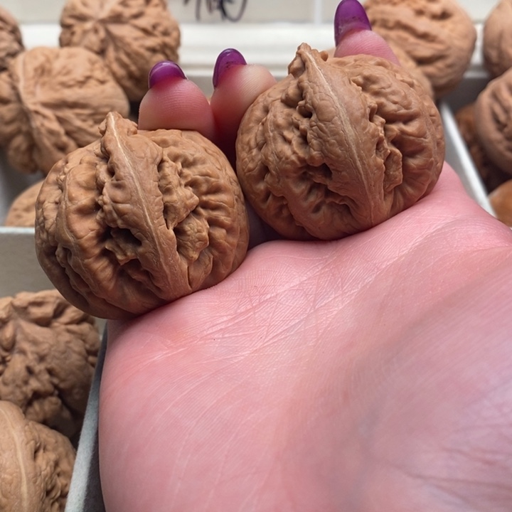 铭***爱文玩核桃吊坠霸王龙