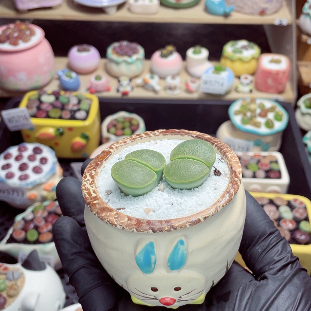 夜间零下地区拍保温箱w5740