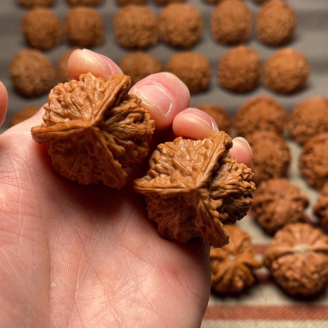 文玩核桃把件37正奔