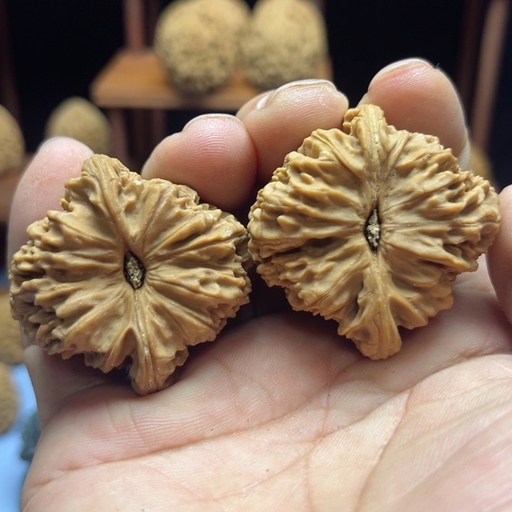 完全开放讲***见南疆石