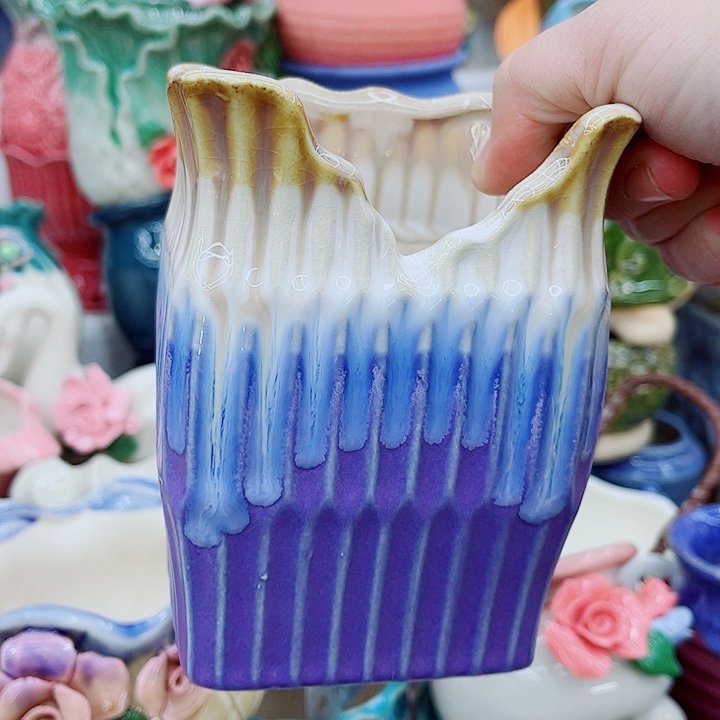 多肉植物陶瓷花盆