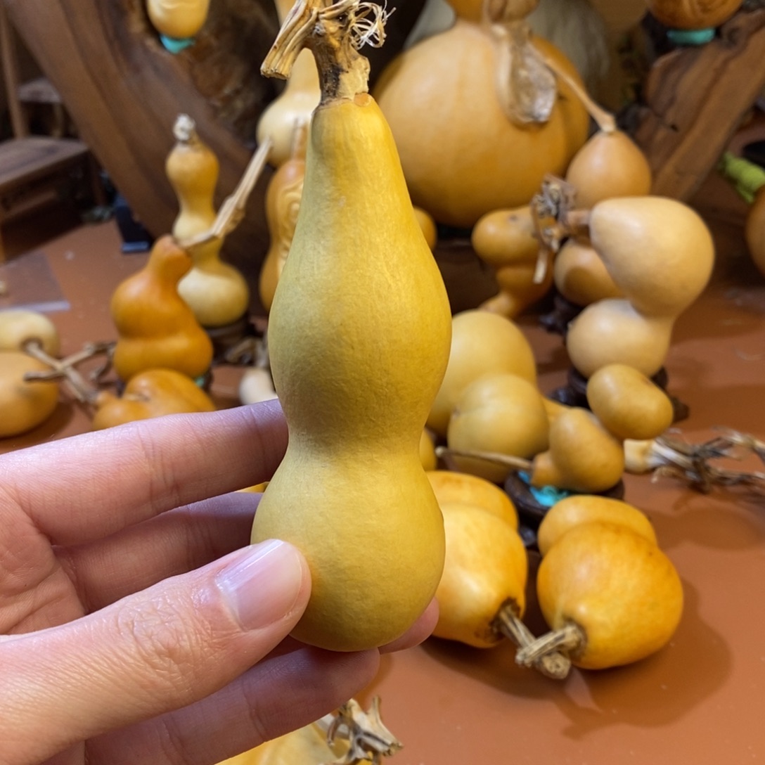 *****教练教练教练教练教练教练考虑