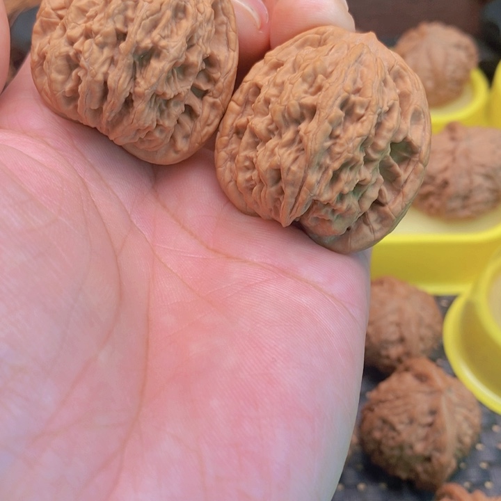 核桃手串/手链麦虎狮子头40尺差0.5尺