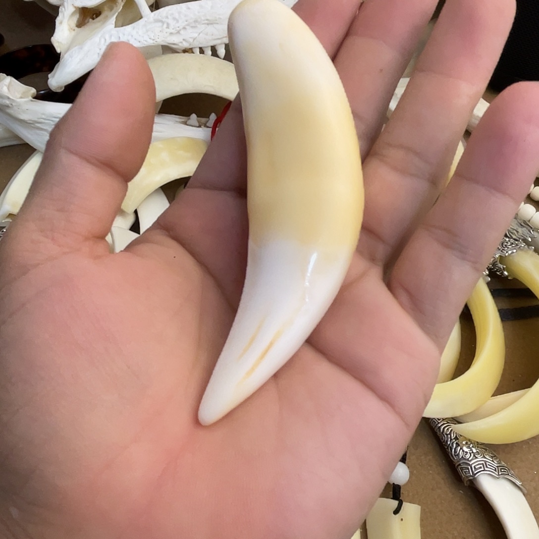 驼骨手串/手链工艺品