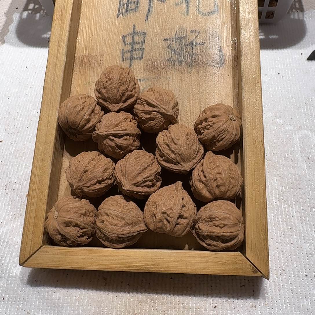 核桃手串/手链55号边23肚24高22
