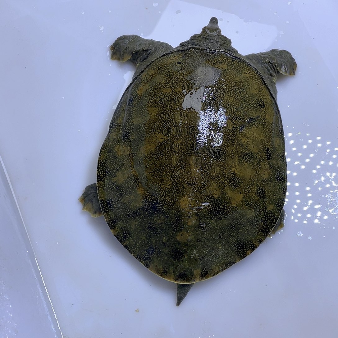 中国大陆12345678