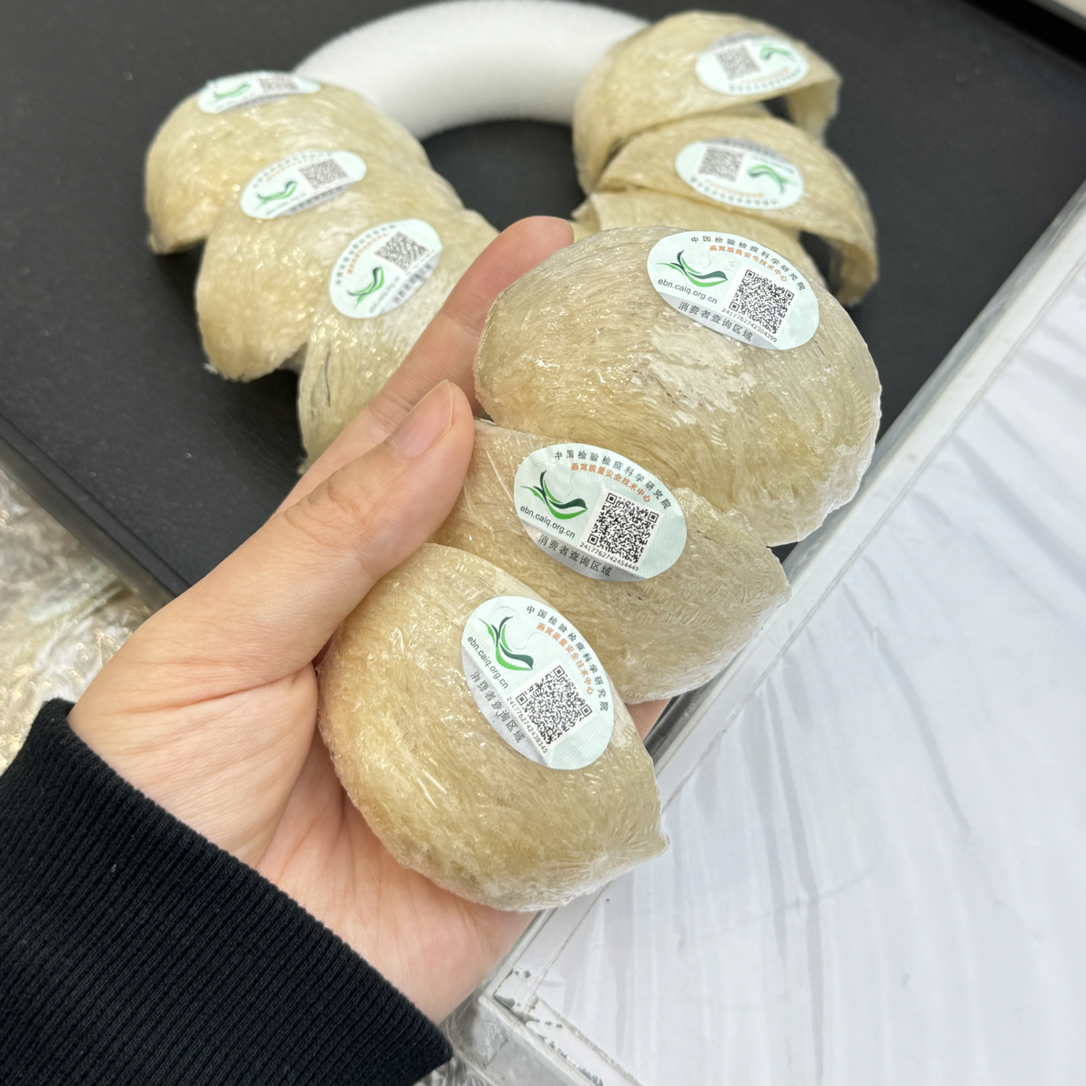 雨季溯源马来西亚沙捞越特大盏孕妇级燕窝不刷不漂