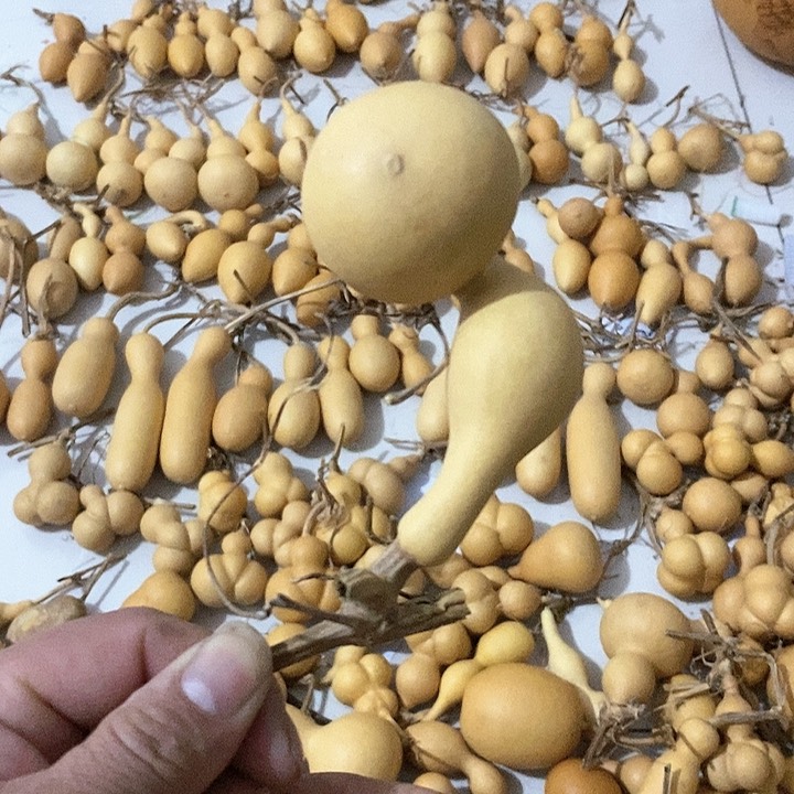 葫芦异形手把小葫芦