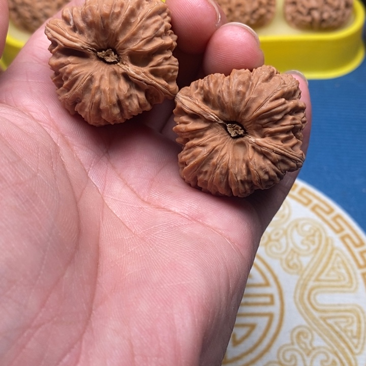 核桃手串/手链凹底38