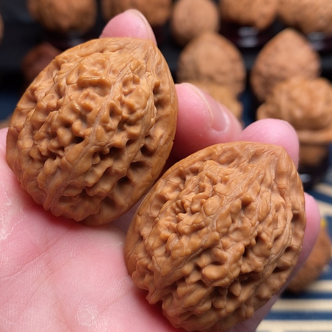 文玩核桃把件32蚂蚁王