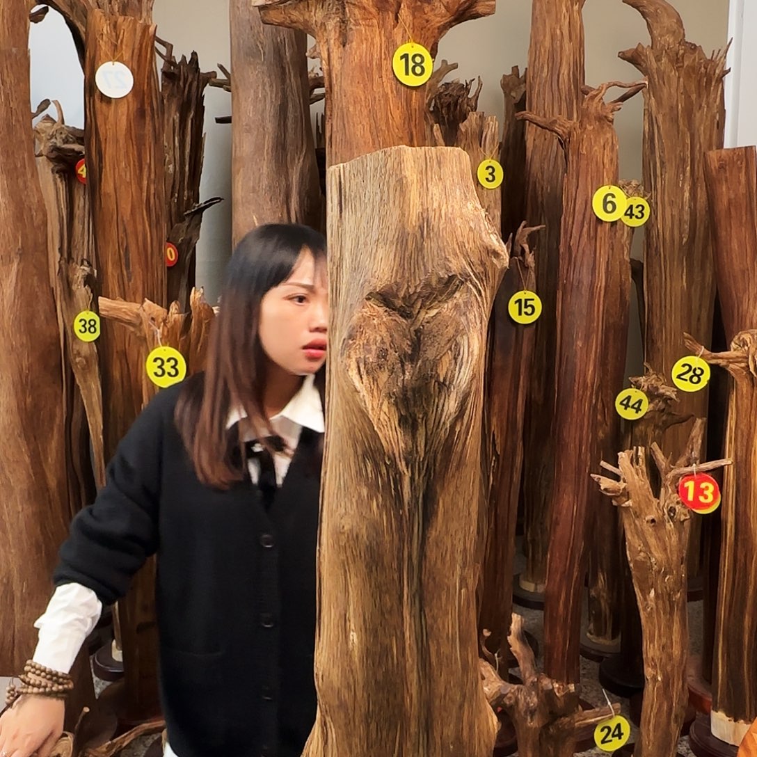 用***5沉香碎屑沉香天然沉香原材料香料熏料