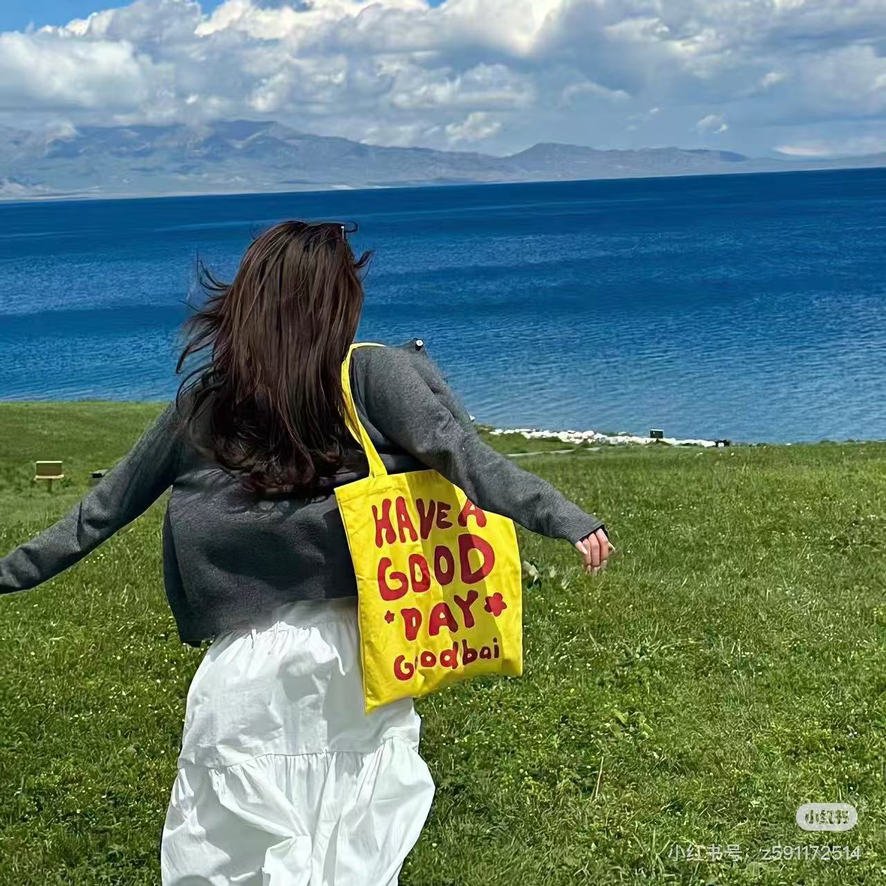 【驴家】手提包 斜挎包 单肩包 水桶包 麻将包 盒子包 腋下包  托特