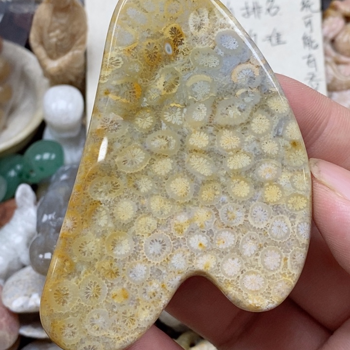 硅化珊瑚（珊瑚玉）未镶嵌颈饰