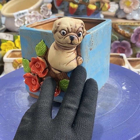 【闪购商品】红陶1