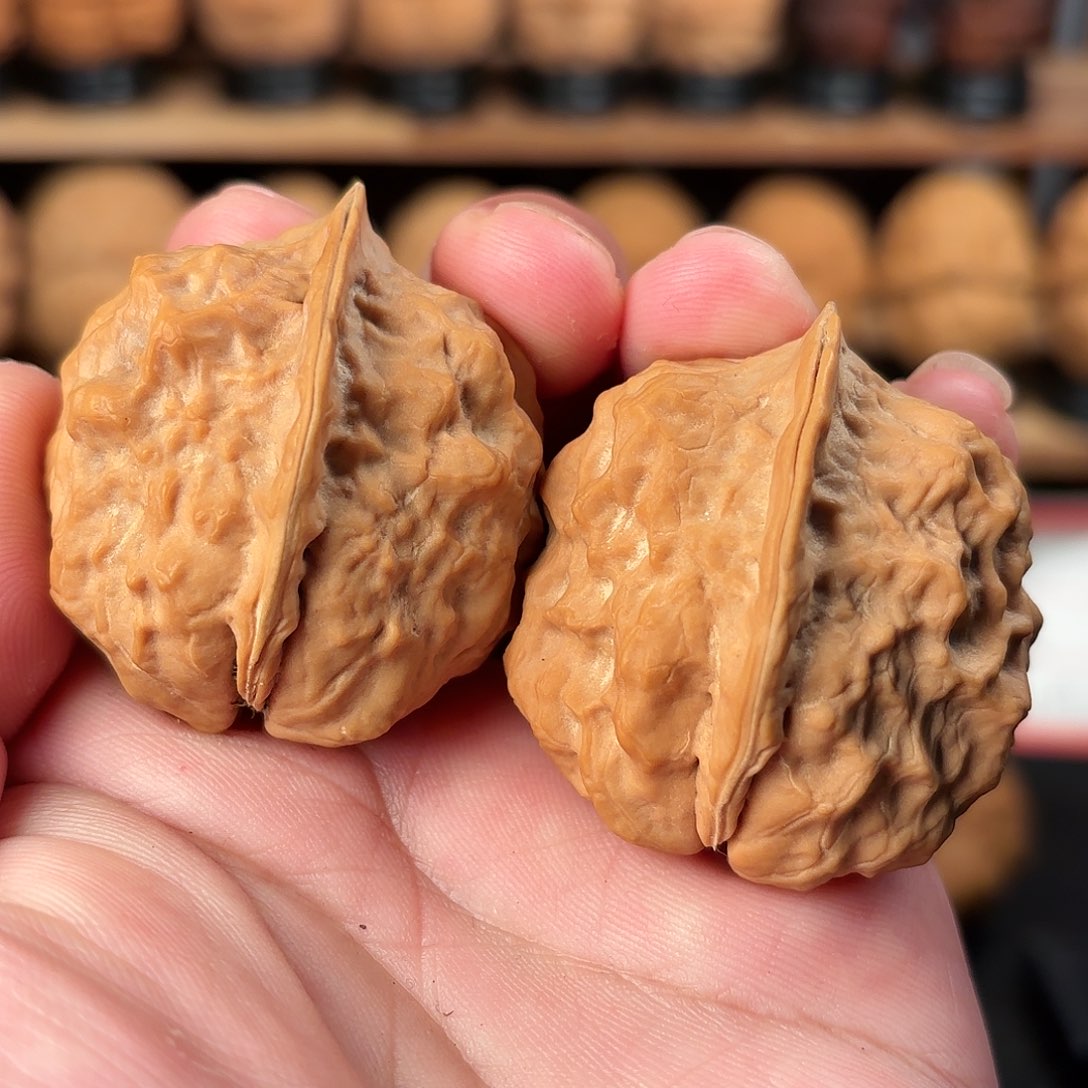 吊坠文玩核桃甲壳虫