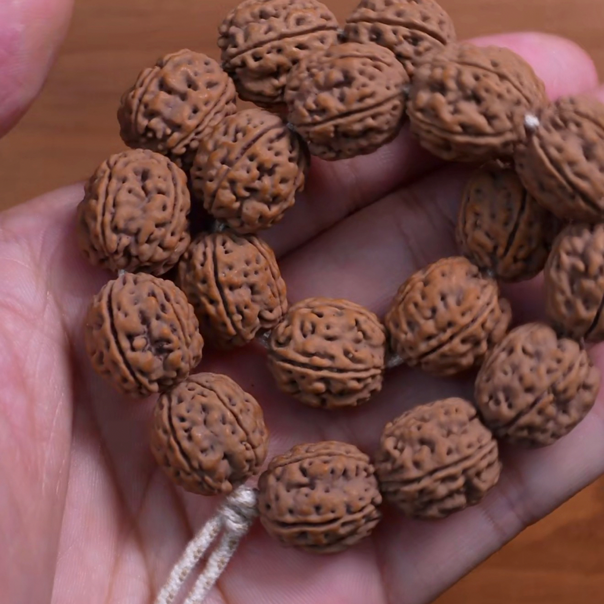 【元旦限定】「五星盘龙手串」小金刚菩提毕业