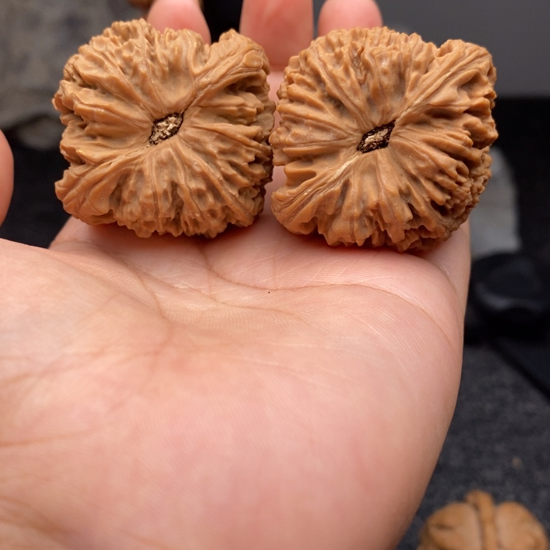 文玩核桃把件43南疆