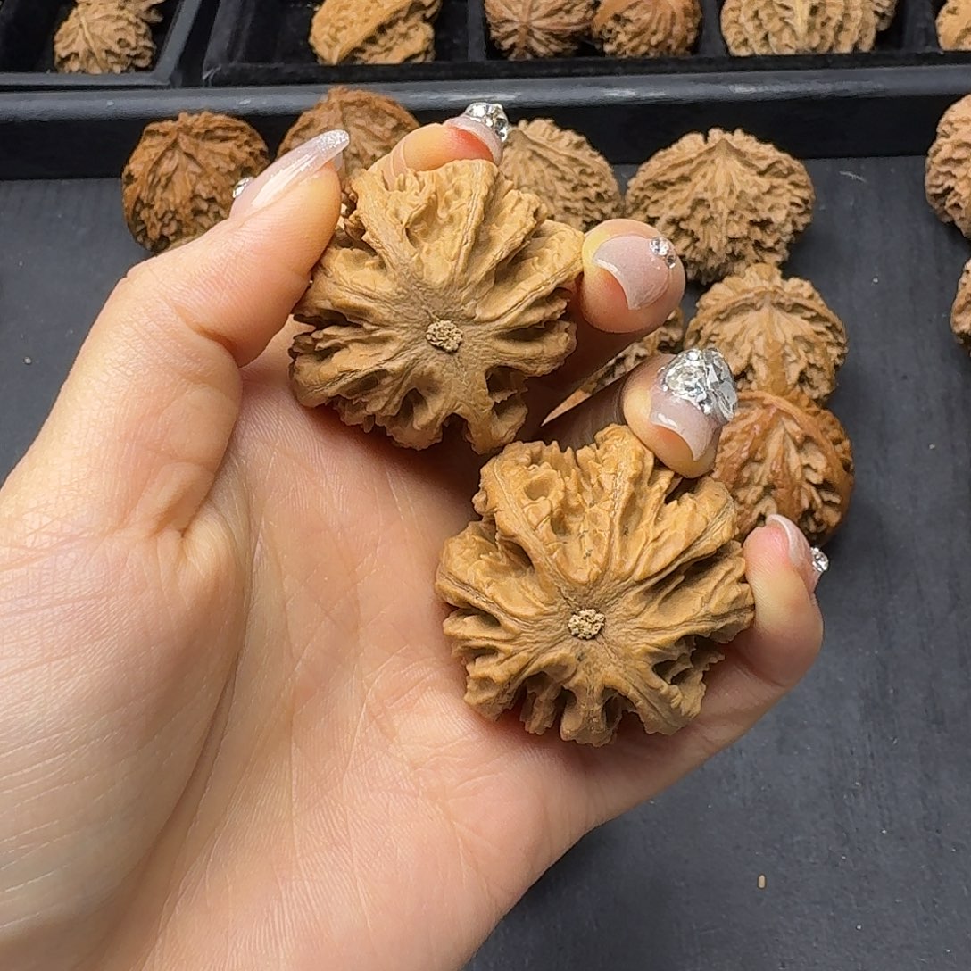 佳***美桃木突突突突突突突突