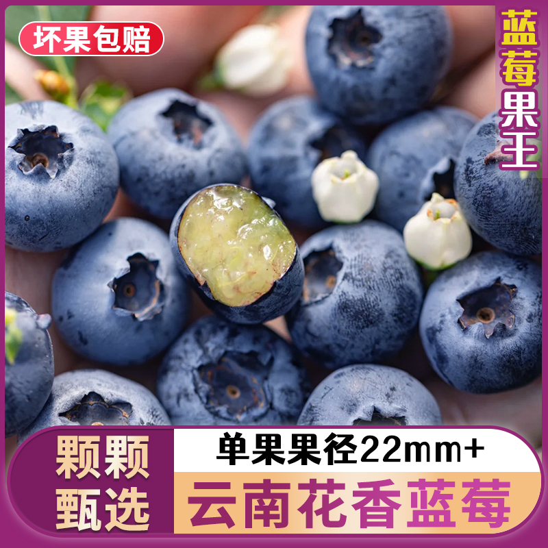 【顺丰京东】22mm+云南花香8盒装超大果王脆甜蓝莓大果特大新鲜采摘