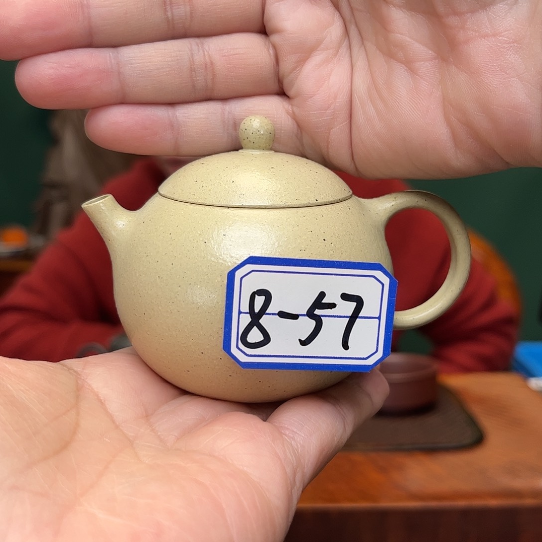 紫砂茶壶文旦本绿