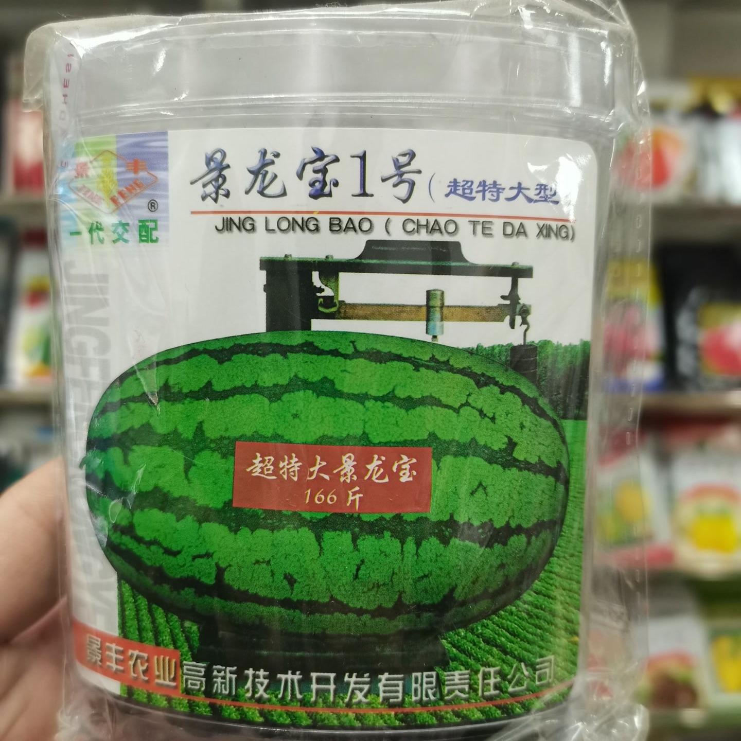 龙丰秋玉景龙宝1号特大型西瓜种子