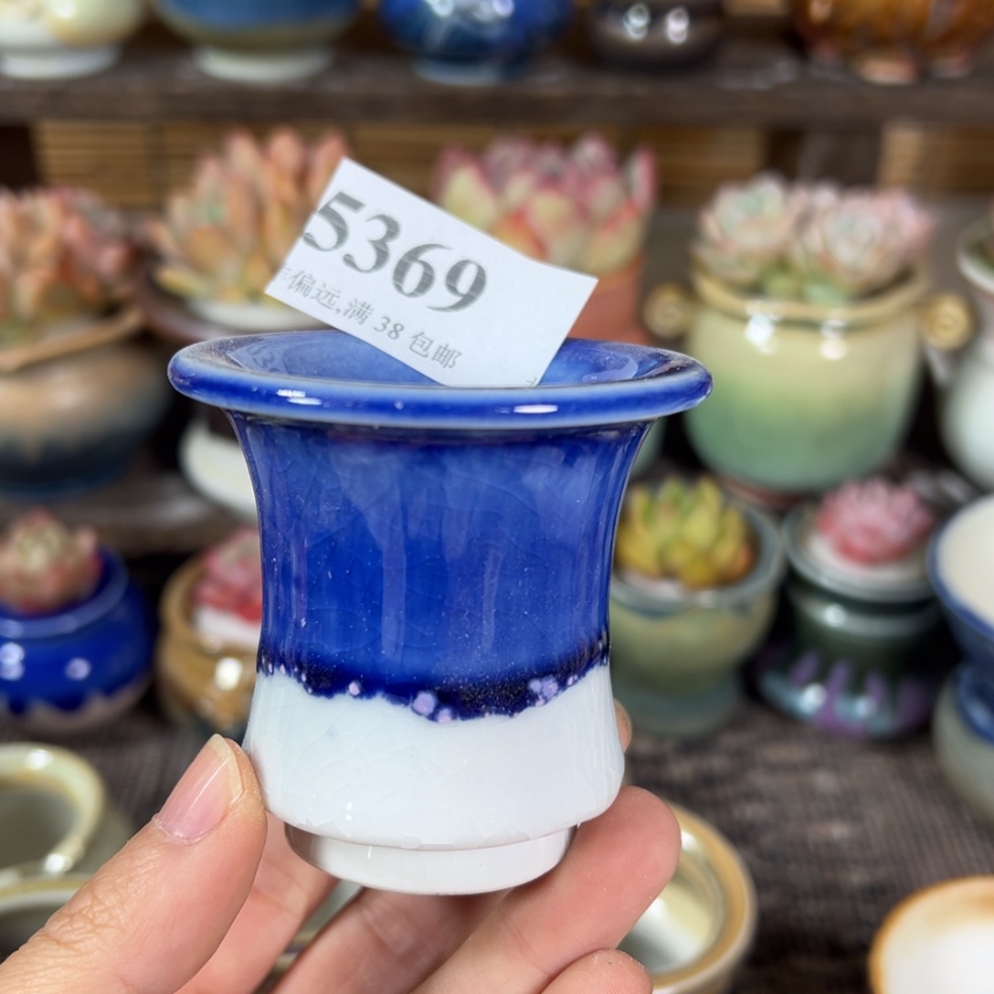 红陶景德镇陶瓷……