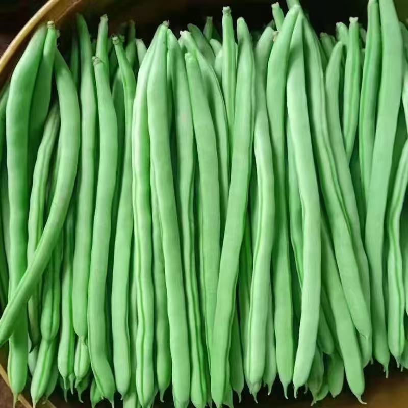 四季豆约250g/份