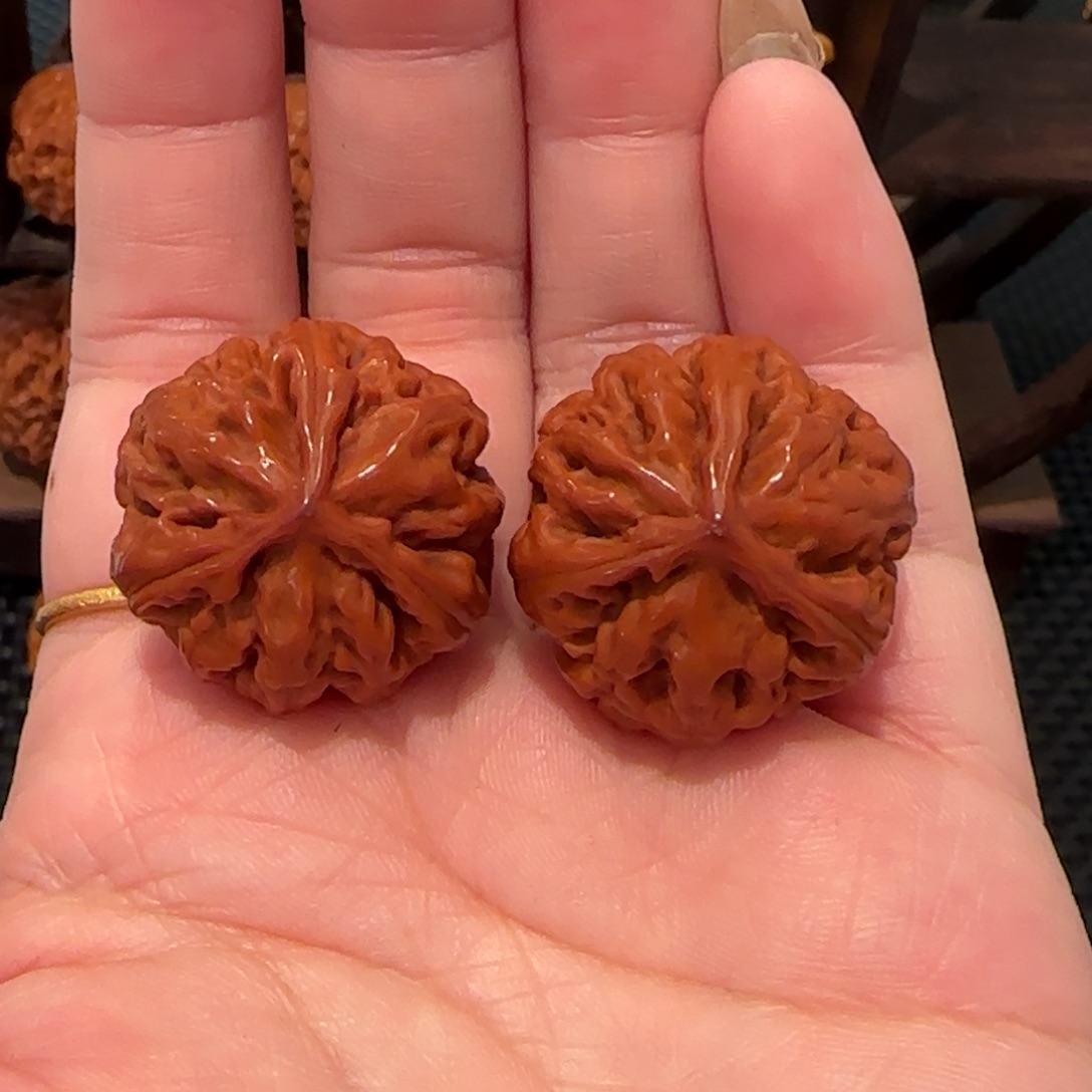 桃核吊坠粗筋曼南瓜正奔三棱771