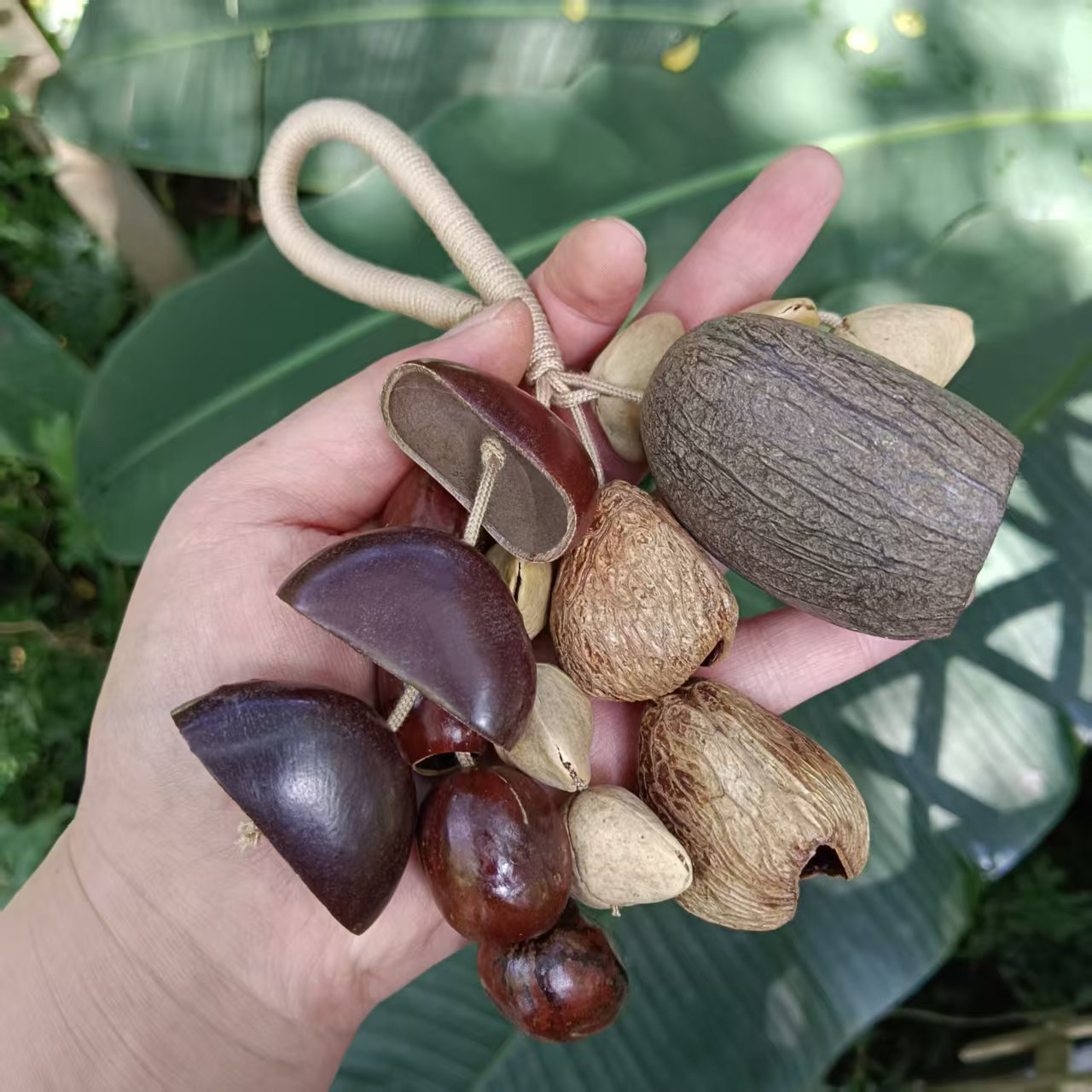 随身果壳风铃(包挂/车挂)