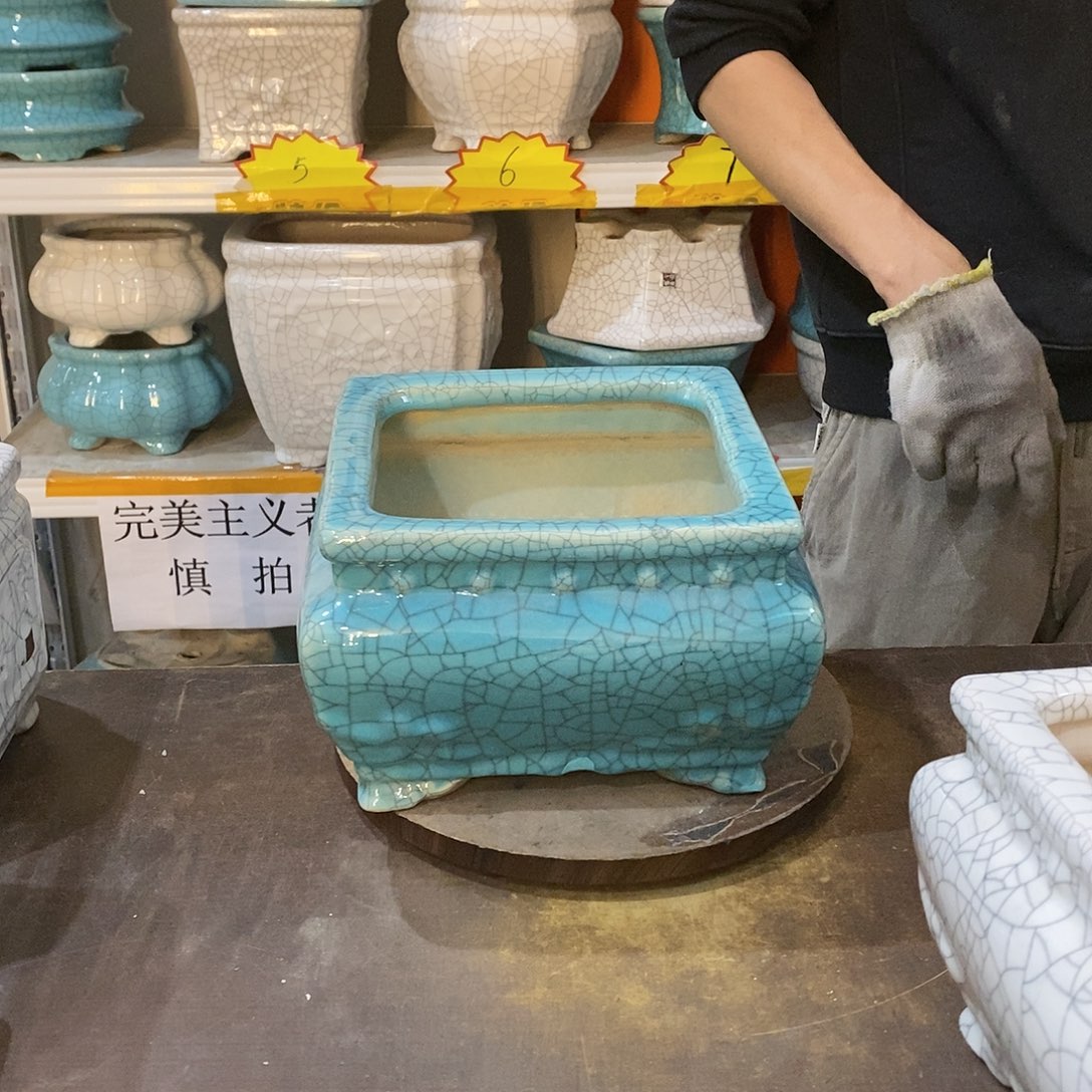 ╰****︶瑕疵花盆花盆里的花