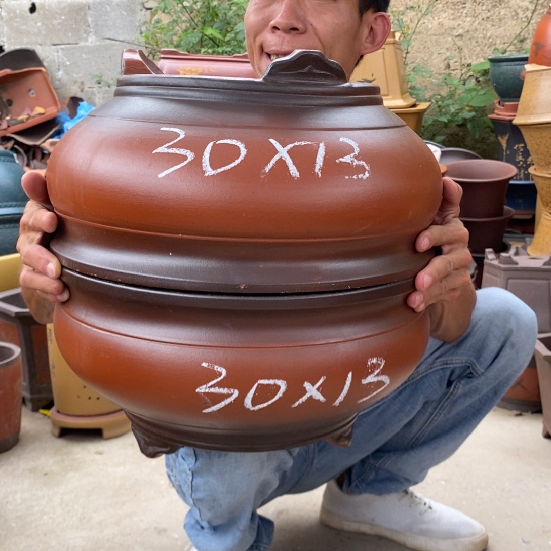 紫砂紫砂紫砂紫砂