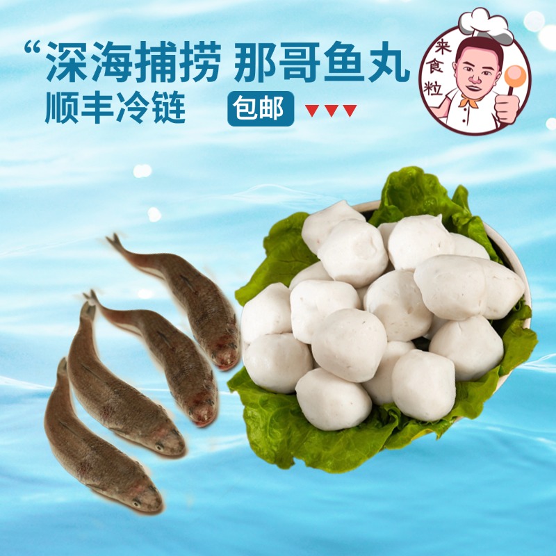 【来食粒】达选尝鲜套餐组合鱼丸猪肚丸鱼饺鱼册虾滑