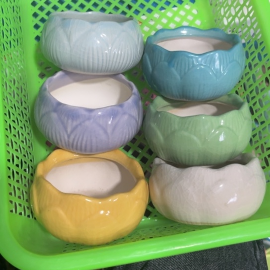 6个［所有订单凑满15发］8+5